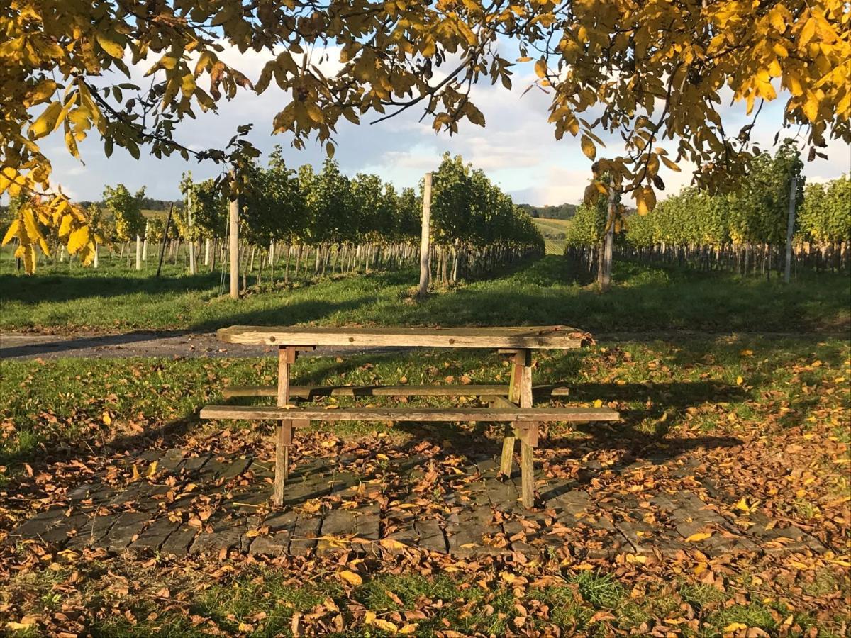 Weingut & Gastezimmer Edelmann Goettlesbrunn Экстерьер фото