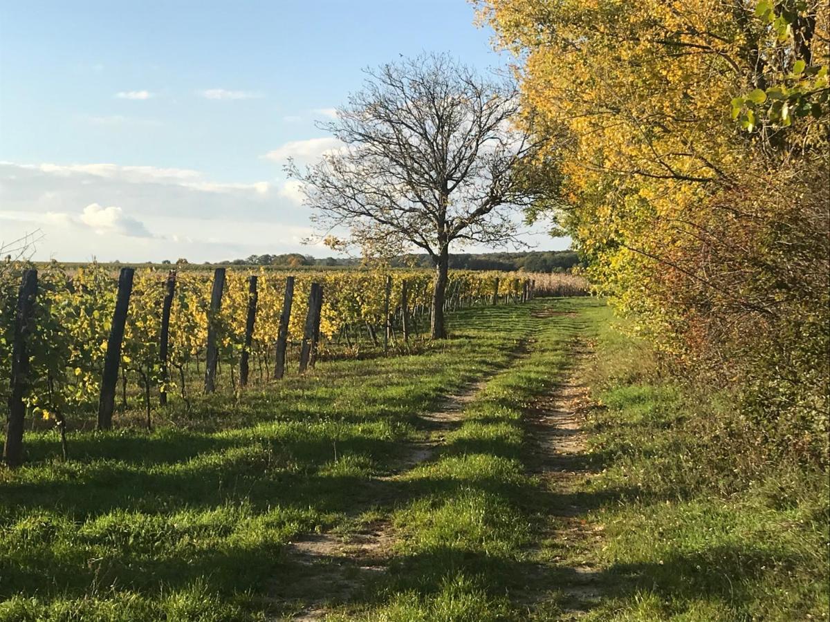 Weingut & Gastezimmer Edelmann Goettlesbrunn Экстерьер фото